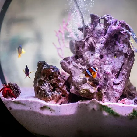 Architect's Loft Appartamento Windermere