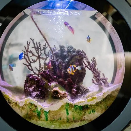 Architect's Loft Appartamento *