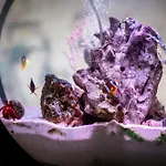 Architect's Loft Apartamento Windermere