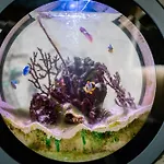 Architect's Loft Apartamento *