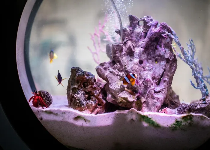 Architect's Loft Lejlighed Windermere