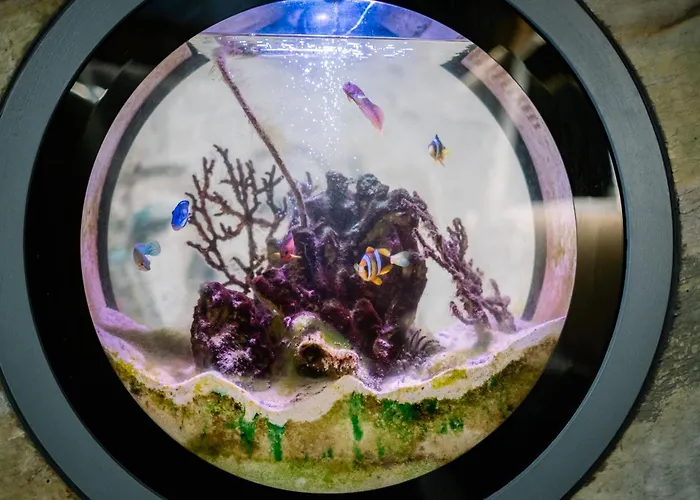 Architect's Loft Lägenhet *