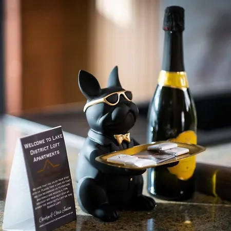 Architect's Loft アパート ウィンダミア